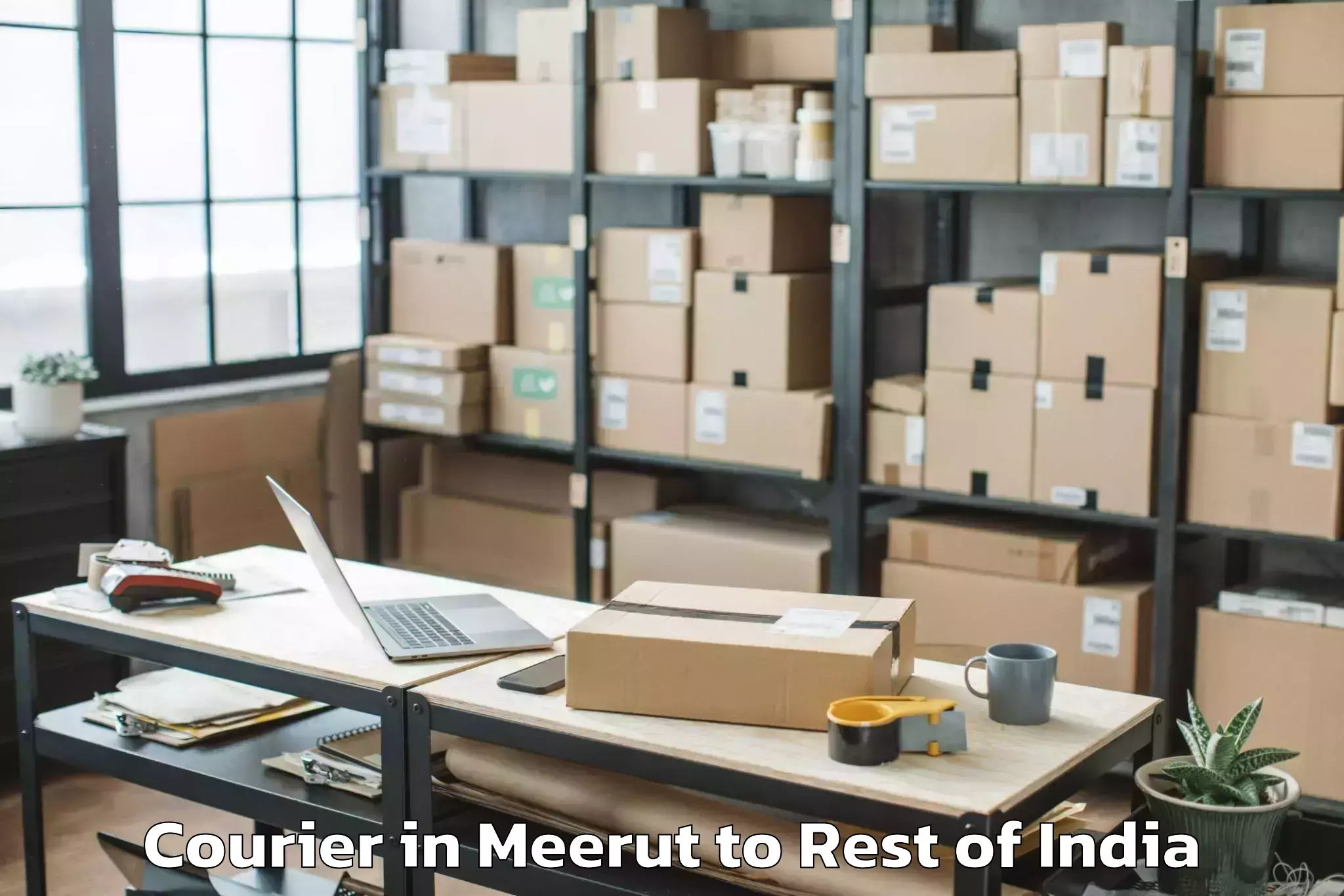 Top Meerut to Tral Courier Available